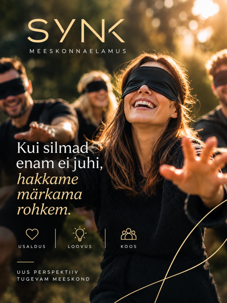 meeskonnaüritus